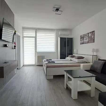 Grey Harmony Apartament