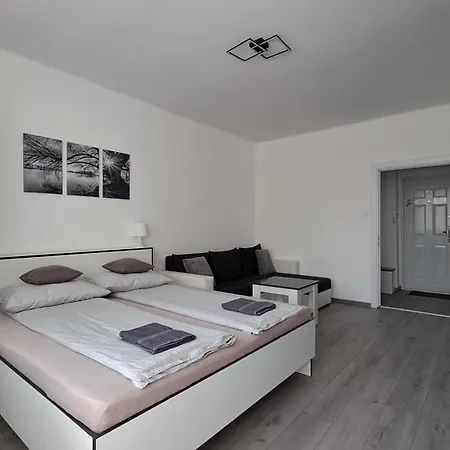 Grey Harmony Apartament
