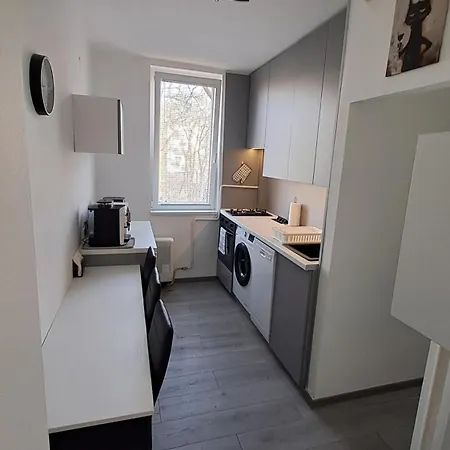 Grey Harmony Debrecen